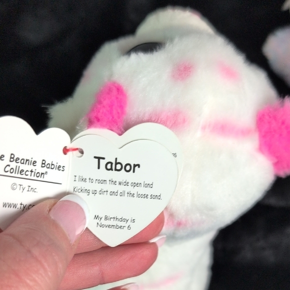 Ty Stuffed Animals - White and Purple Cats - Picture 6 of 12